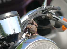 h&auml;gar Biker vogel