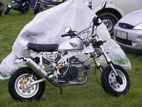 monkey