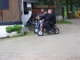 monkeys